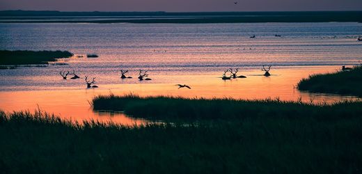 Fertő-Hanság Nemzeti Park