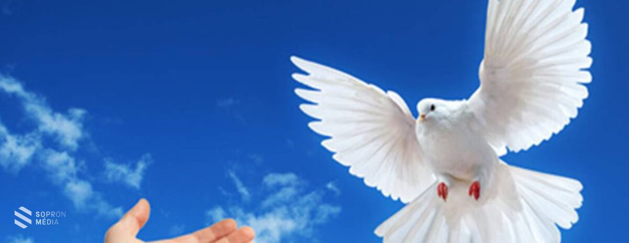 Minden évben egy üzenet: A béke „világnapja” legyen veletek!