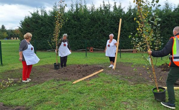 I. KÓNYI CIVIL NAP, 2025. október 11.