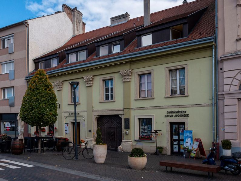 Sopron és Malvina, a felvilágosodás költőnője 