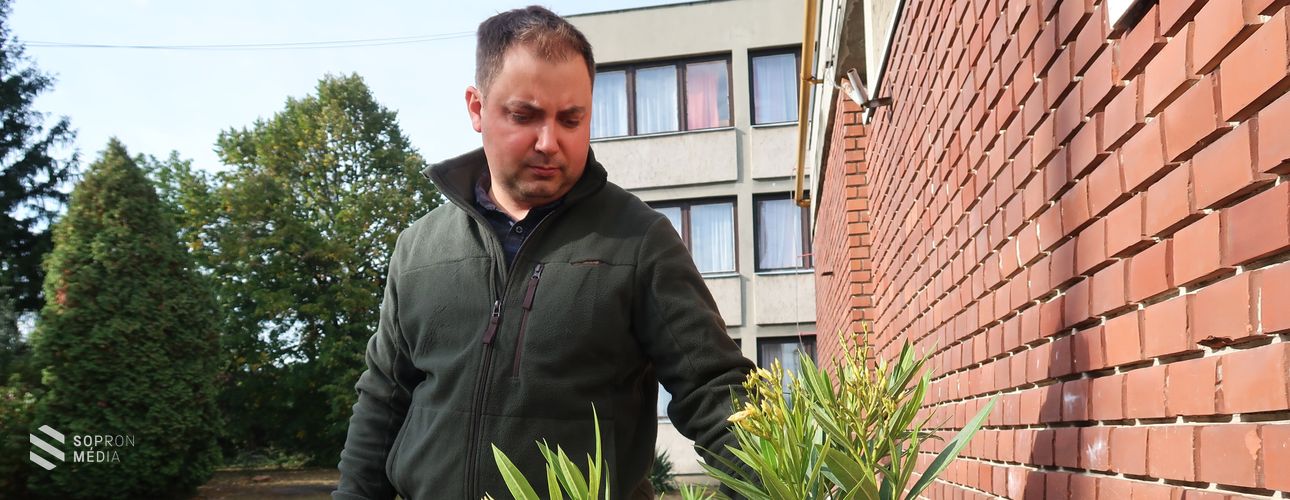 Fontos jel, hogy beköszöntött az első fagy