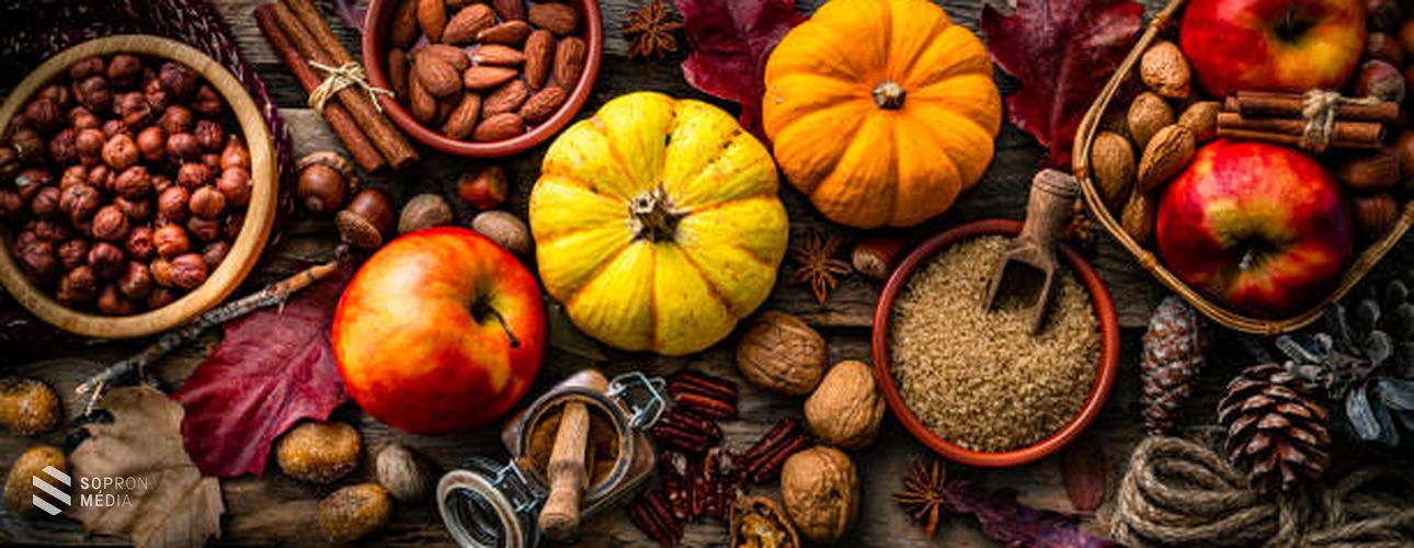 Hogyan pótoljuk a vitaminokat ősszel?