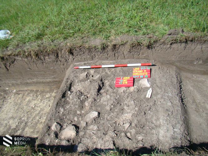 A területen a korábbi ásatások is eredményesek voltak