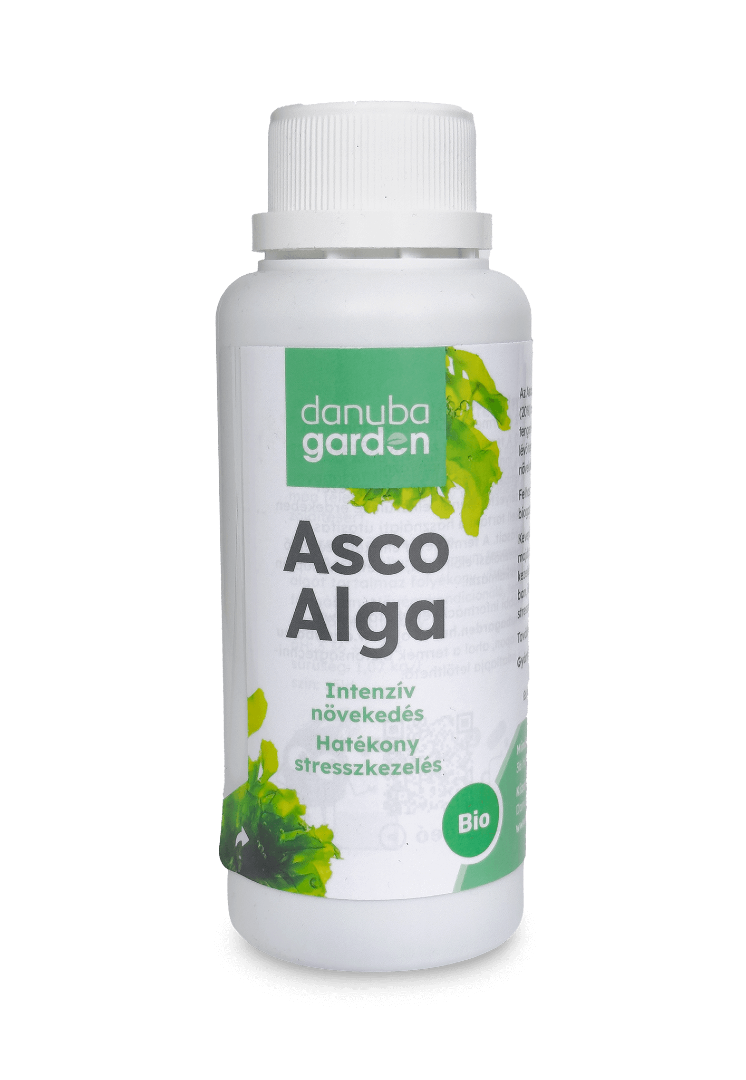 Asco-Alga 0,2 liter BIO termék képe