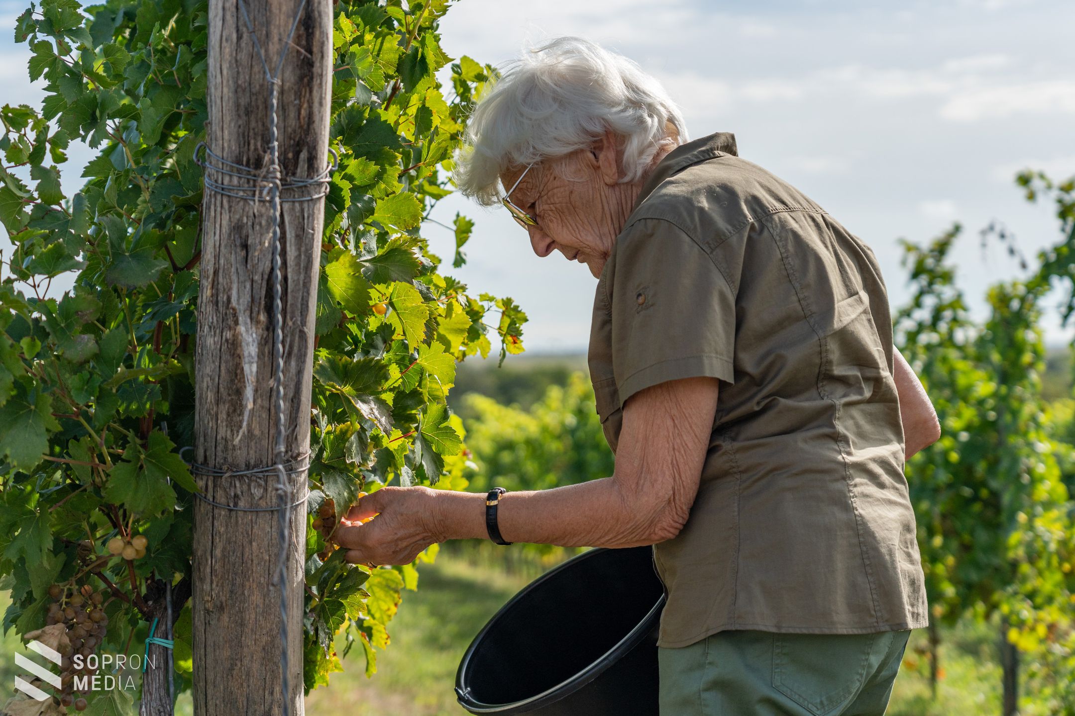 Vakszüret a közösségépítés és szemléletformálás jegyében