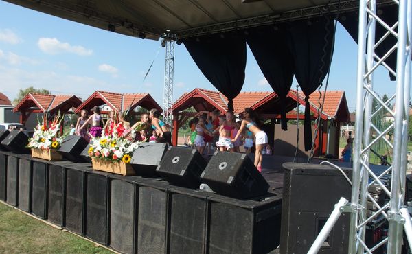 25. Falunap 2014. augusztus 9.