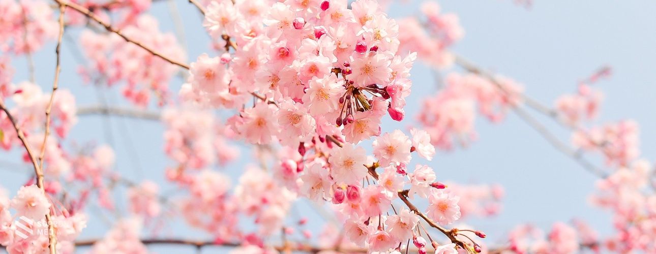 Akár 25 fok is lehet húsvét hetében