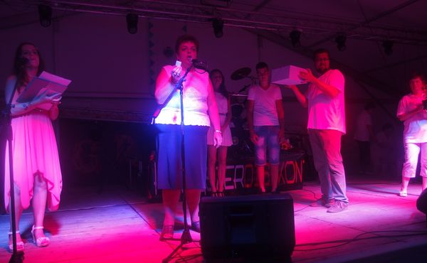 25. Falunap 2014. augusztus 9.