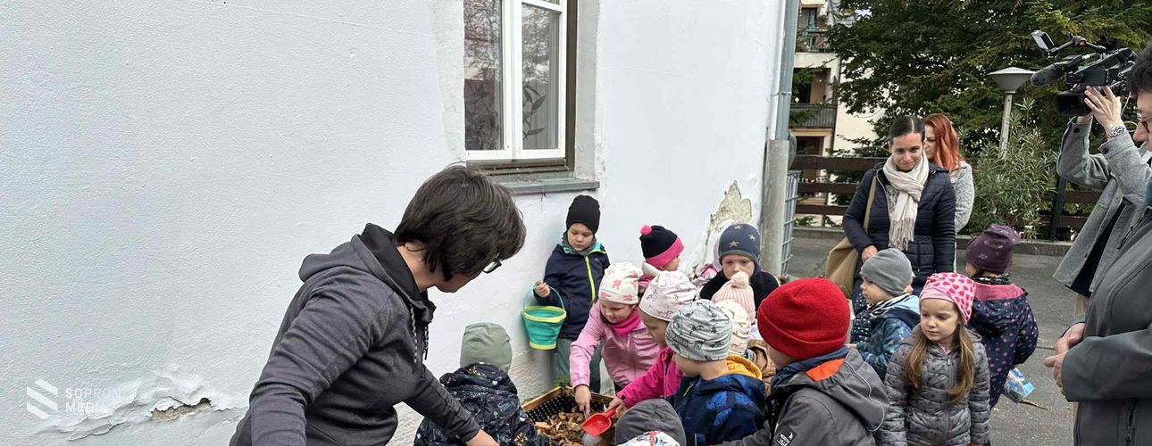 A jövő környezetvédői a Széchenyi István Városi Könyvtárban