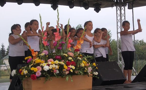 24. Falunap 2013. augusztus 10.