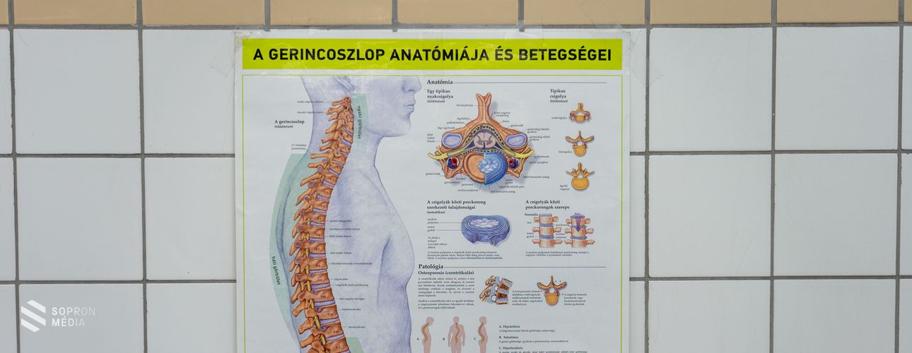 Október 20-a a csontritkulás elleni küzdelem világnapja