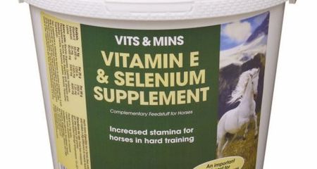 EQUIMINS VITAMIN E&SELENIUM SUPPLEMENT-E-vitamin, szelén és lizin kiegészítő por 3kg