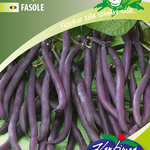 Bokorbab Purple Queen, lila 50 g termék képe