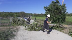 Viharos szél: Sopronban ötször volt szükség a tűzoltók beavatkozására