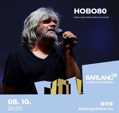 HOBO 80