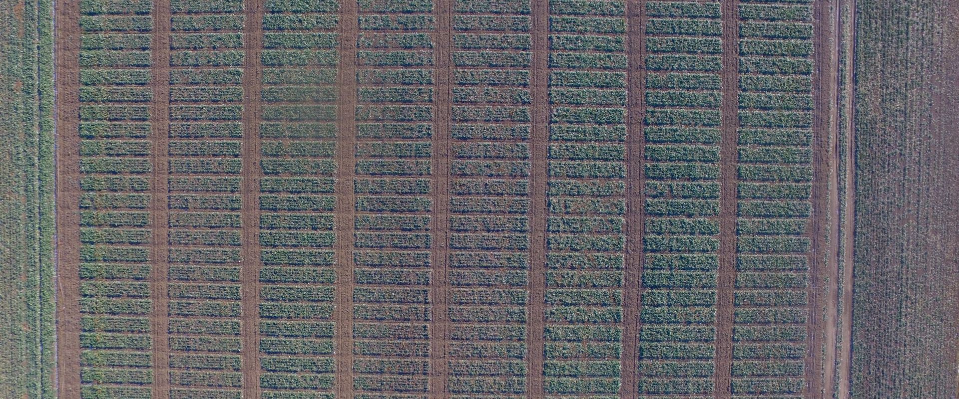 Agrofil-SZMI Kft.