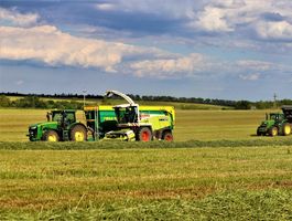 Festulolium betakarítás Pélpusztai Mg. Kft. 2020. június