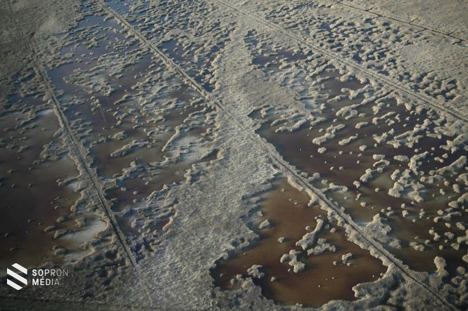 Nádas valahol Hidegség magasságában. A beszámolóból megtudtuk: a szürke területek iszappadok, amelyek hamarosan teljesen szárazra kerülnek. A barna huminsavas vizek kicsit mélyebben fekvő területet jeleznek, de nyár derekára (ilyen aszály mellett) ezek is teljesen kiszáradhatnak.