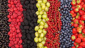 Miért fogyasszunk bogyós gyümölcsöket?