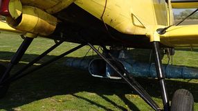 Mivel és hogyan irtják a szúnyogokat valójában városunk környékén?