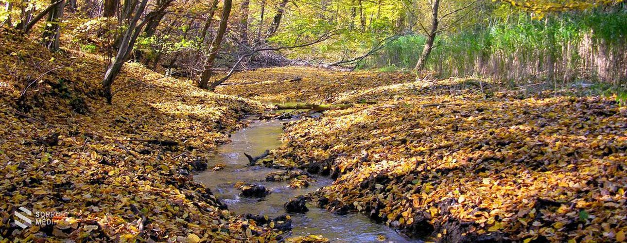 Sopron hol eltűnő, hol felbukkanó vize: a Rák-patak