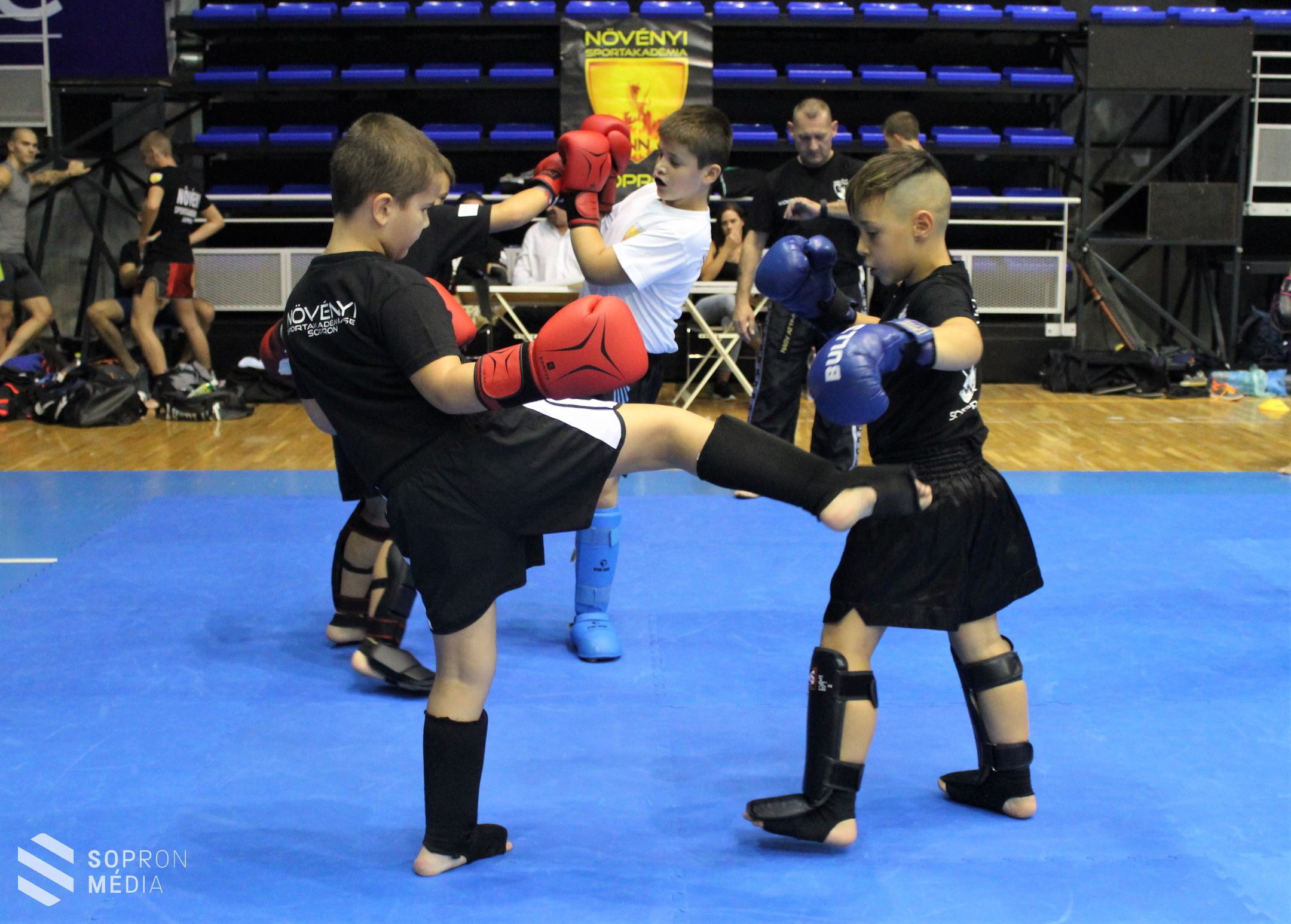 Szombaton sportolt Sopron! (galéria)