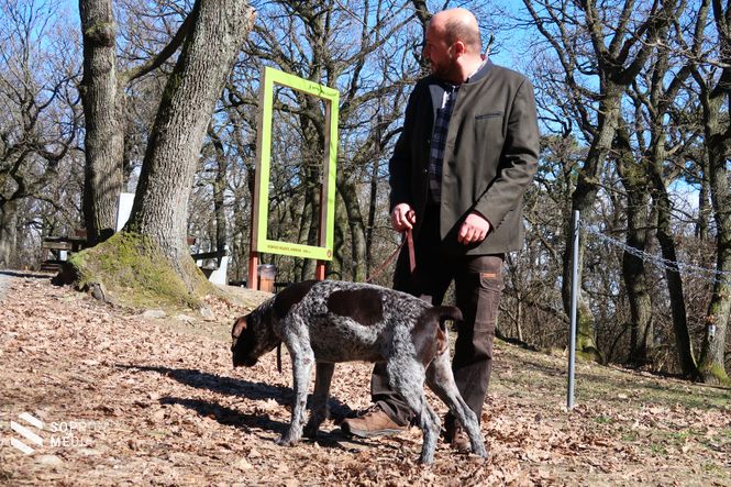 Bánáti László: a póráz elengedhetetlen a kutyasétáltatásnál
