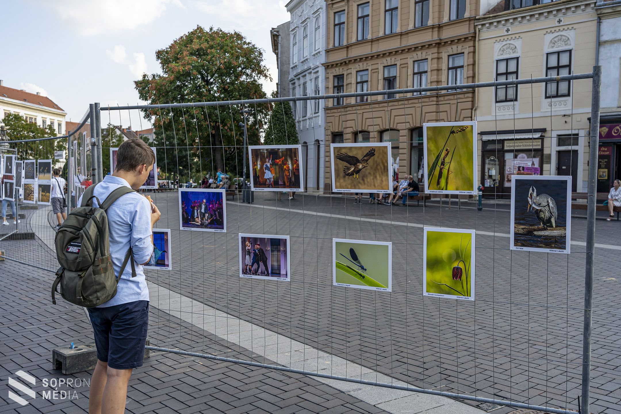 Háromnapos szabadtéri fotókiállítás nyílt a Várkerületen