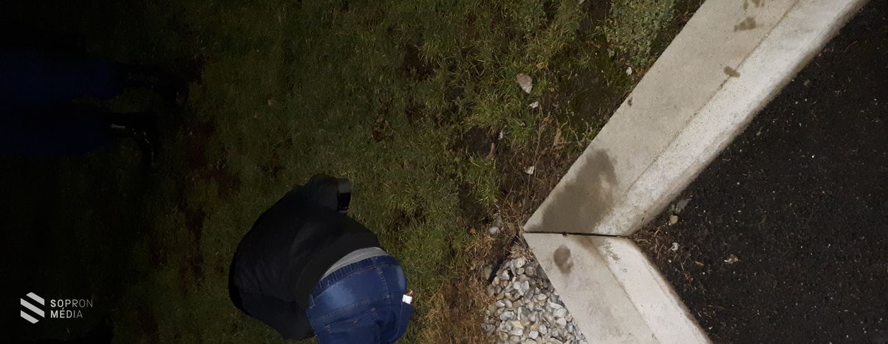 Életet mentettek a soproni polgárőrök.