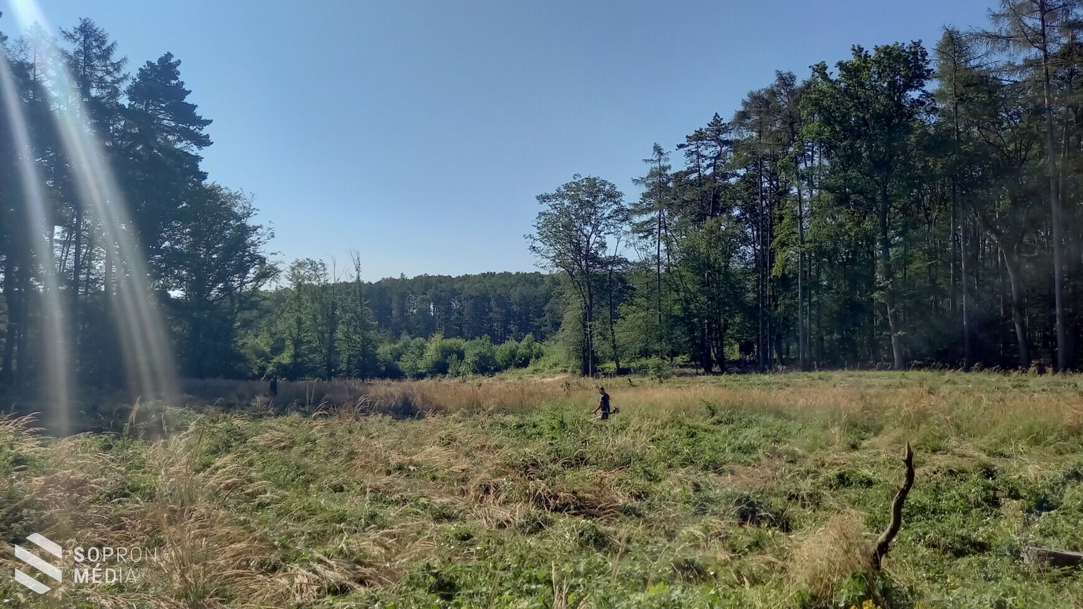 Sok csapadék, több ápolás