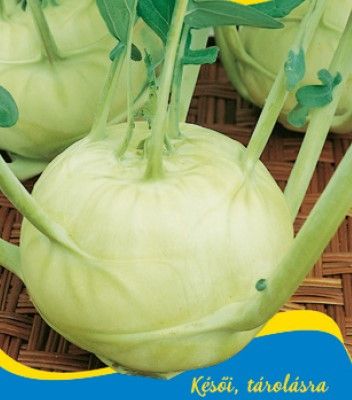 Karalábé Gigant  50 g termék képe