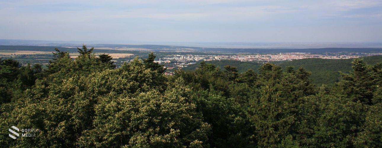 Fedezzük fel - Érdekességek a Soproni-hegységről 