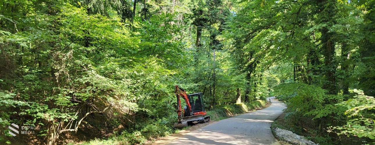 Útfelújítás a soproni erdőkben