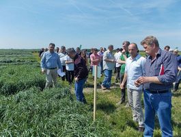 Lassan és gyorsan lebomló rostokra is szükség van az egészséges emésztéshez