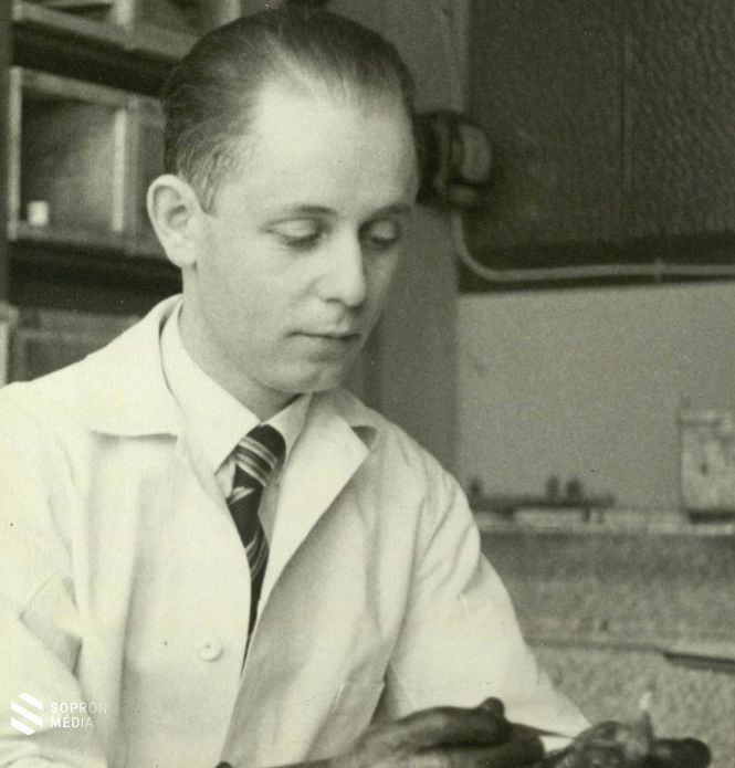 Selye János, Hans Selye (Bécs, 1907. január 26. – Kanada, Montréal, 1982. október 15.) 