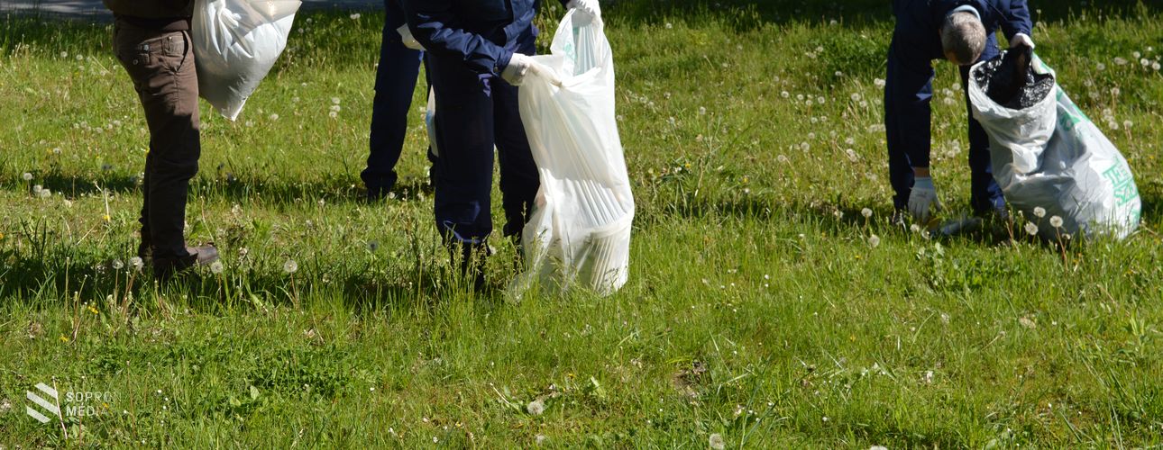 Amit ma felszedhetsz, ne halaszd holnapra