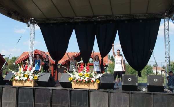 25. Falunap 2014. augusztus 9.