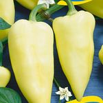 Paprika Tizenegyes 5g termék képe