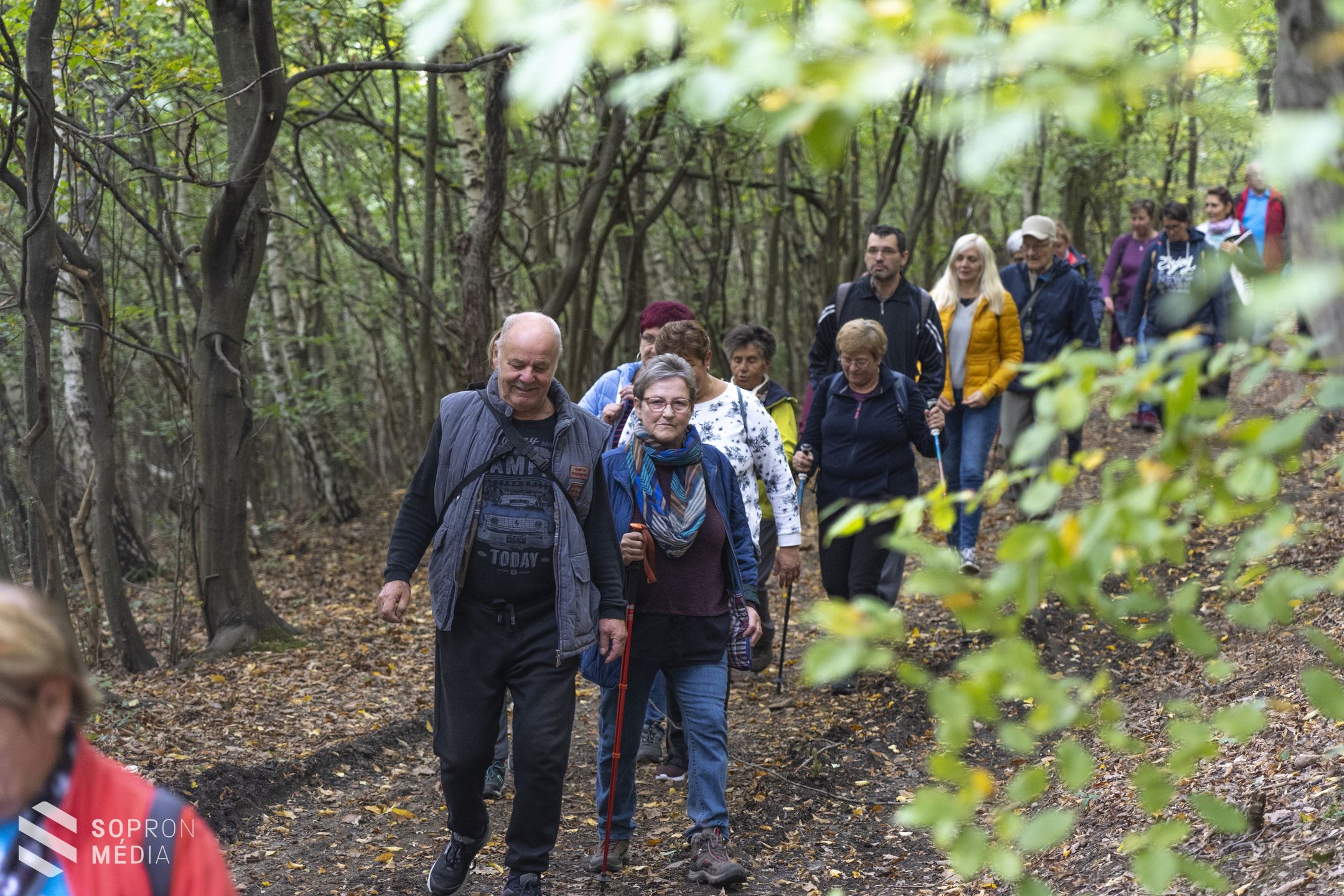 Gyalogló nap - 4 féle távon indulhattak a mozogni vágyók
