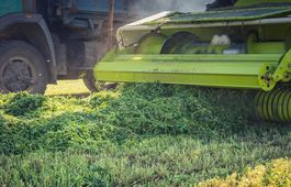 VITALSEED FULL PILLANGÓS 1 lucerna keverék vetőmag