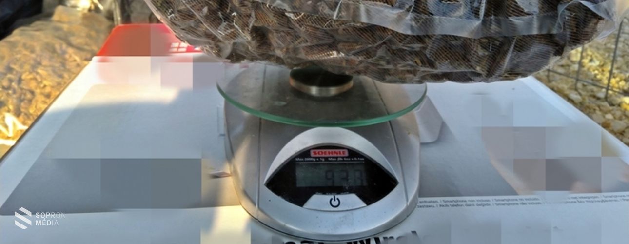 Közel négy kilogramm kábítószergyanús anyagot foglaltak le