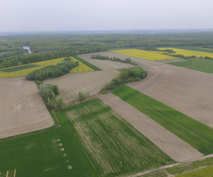 Határszemle