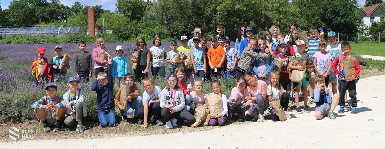 A Soproni Tankerület nyári táborosai körében népszerű az Esterházy-kastély programja
