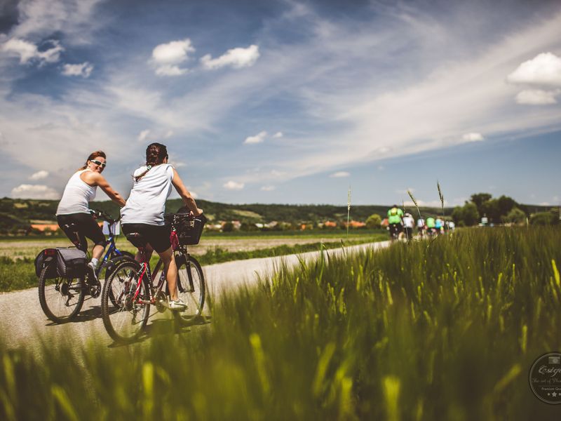 Fertő tó kör 2016