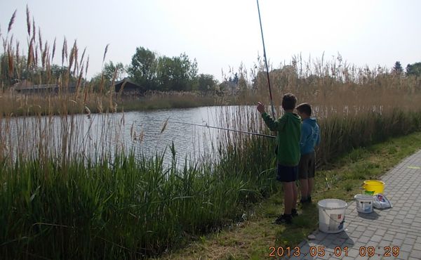 Bikafesztivál és Majális 2013.