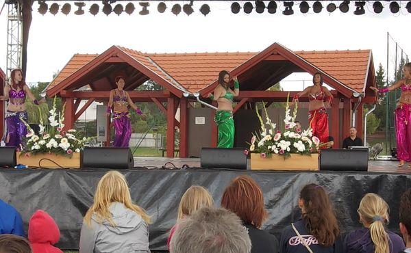 23. Falunap 2012. augusztus 11.