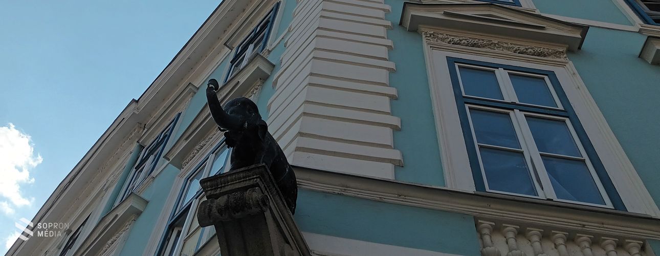 Müller Paulin, Sopron jótevője és a fekete elefánt cégér története
