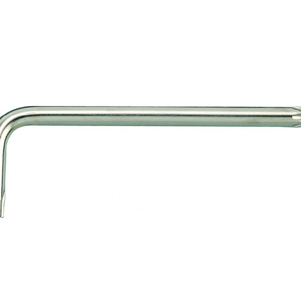 HOSSZÚ IMBUSZ TORXVÉGŰ T25X125L 112325R