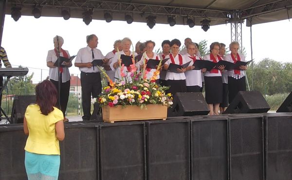 24. Falunap 2013. augusztus 10.
