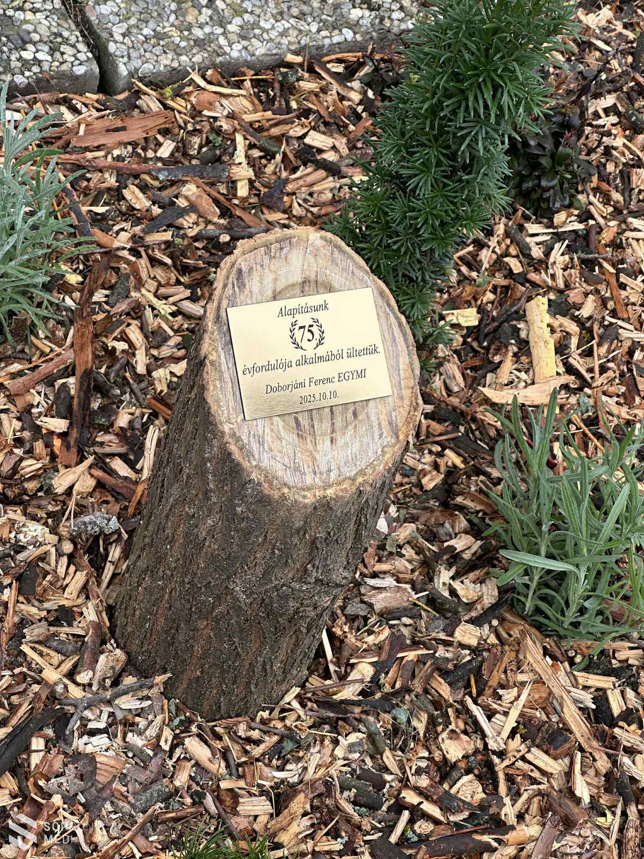 Idén is megrendezték a Doborjáni Emléknapot